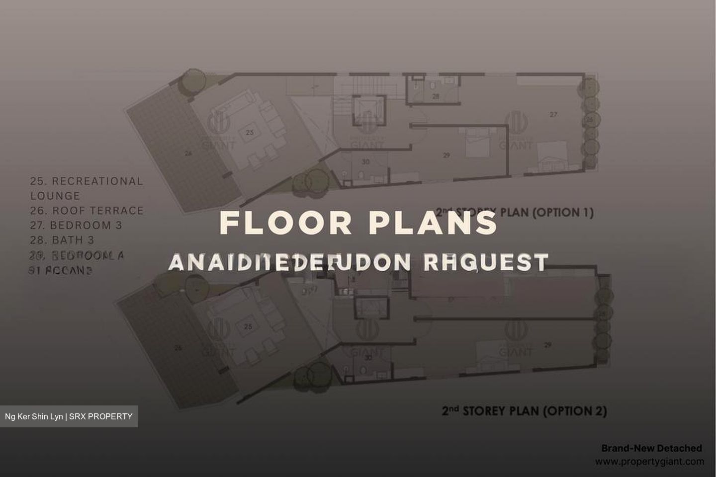 Braddell Heights Estate (D13), Detached #582354891